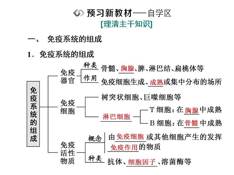 第4章  免疫调节 第1节  免疫系统的组成和功能课件PPT03