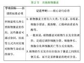 第5章  植物生命活动的调节 第2节  其他植物激素课件PPT
