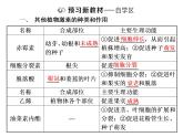第5章  植物生命活动的调节 第2节  其他植物激素课件PPT