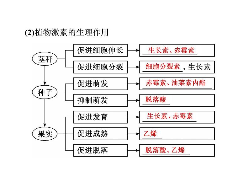 第5章  植物生命活动的调节 第2节  其他植物激素课件PPT07