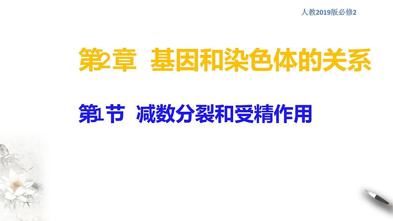 高中生物第二册 2 1 1 减数分裂和受精作用 课件-遗传与进化练习题第1页