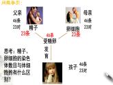 高中生物第二册 2 1 1 减数分裂和受精作用 课件-遗传与进化练习题