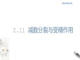高中生物第二册 2 1 1 减数分裂与受精作用 课件-遗传与进化练习题