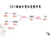 高中生物第二册 2 1 1 减数分裂与受精作用 课件-遗传与进化练习题