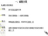 高中生物第二册 2 1 1 减数分裂与受精作用 课件-遗传与进化练习题