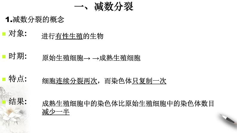 高中生物第二册 2 1 1 减数分裂与受精作用 课件-遗传与进化练习题第4页