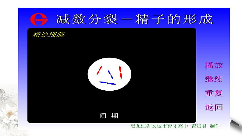 高中生物第二册 2 1 1 减数分裂与受精作用 课件-遗传与进化练习题第6页