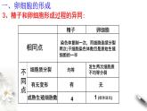 高中生物第二册 2 1 2 减数分裂和受精作用 课件-遗传与进化练习题