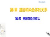高中生物第二册 2 2 基因在染色体上 课件-遗传与进化练习题