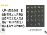 高中生物第二册 2 2 基因在染色体上 课件-遗传与进化练习题