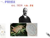 高中生物第二册 2 2 基因在染色体上 课件-遗传与进化练习题