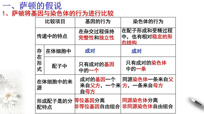 高中生物第二册 2 2 基因在染色体上 课件-遗传与进化练习题第5页