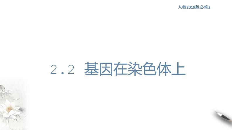 高中生物第二册 2 2 基因在染色体上 课件-遗传与进化练习题第1页