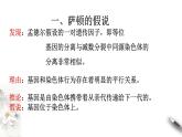 高中生物第二册 2 2 基因在染色体上 课件-遗传与进化练习题