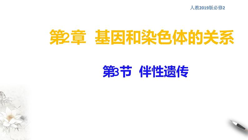 高中生物第二册 2 3 伴性遗传 课件-遗传与进化练习题01