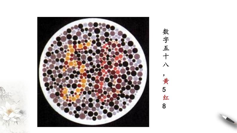 高中生物第二册 2 3 伴性遗传 课件-遗传与进化练习题06