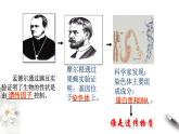 高中生物第二册 3 1 DNA是主要的遗传物质 课件-遗传与进化练习题