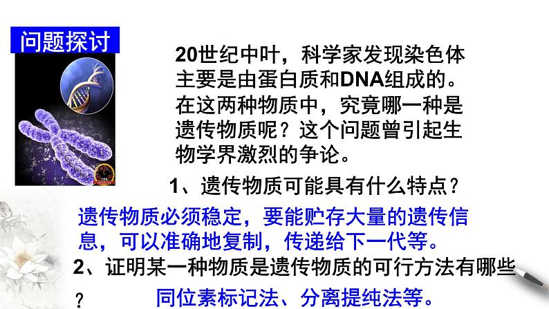 高中生物第二册 3 1 DNA是主要的遗传物质 课件-遗传与进化练习题第3页