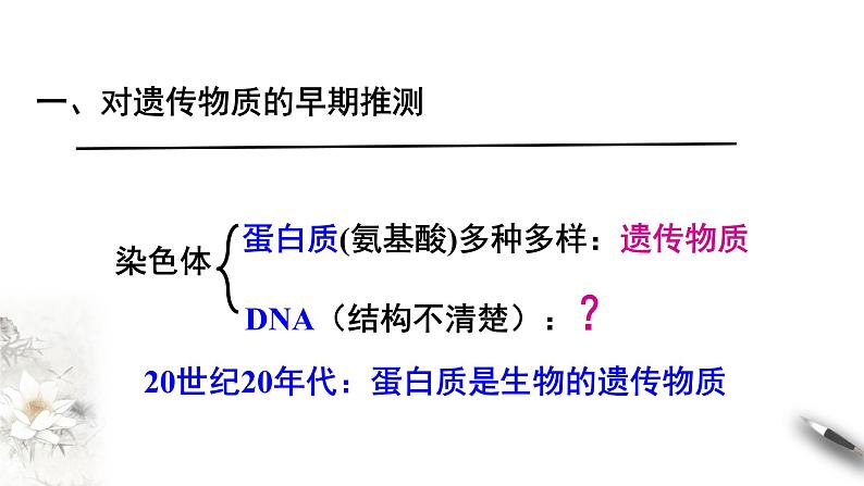 高中生物第二册 3 1 DNA是主要的遗传物质 课件-遗传与进化练习题第4页