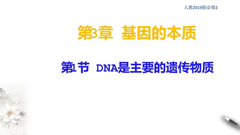 高中生物第二册 3 1 DNA是主要的遗传物质 课件-遗传与进化练习题第1页