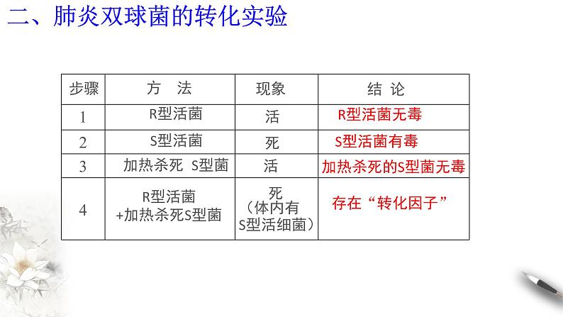 高中生物第二册 3 1 DNA是主要的遗传物质 课件-遗传与进化练习题第7页