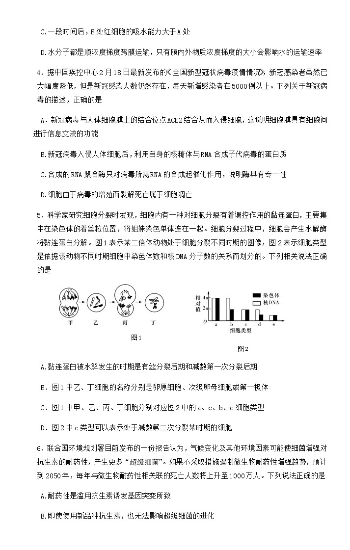 2022-2023学年湖南省名校联合体高二下学期第一次联考（月考）生物试题含解析03