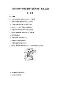 2022-2023学年江苏省南京市六校联合体高一下学期3月联考（月考）试题生物含答案