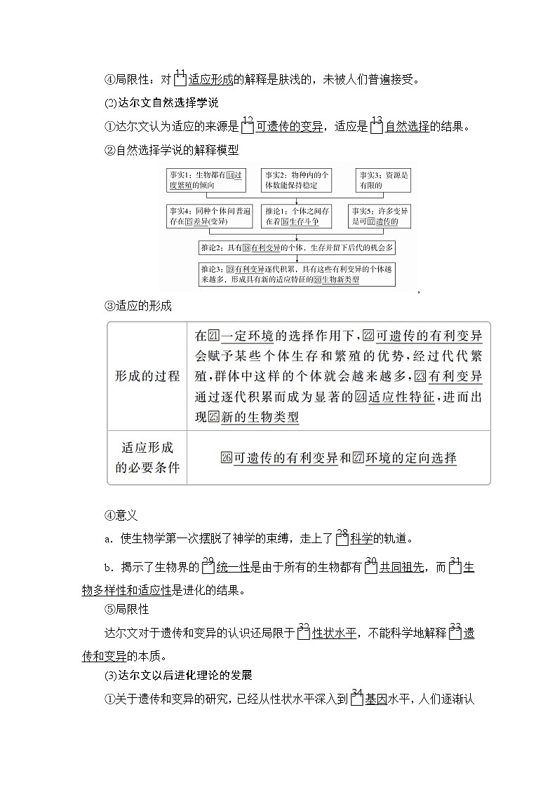 高中生物第二册 第6章  第2节自然选择与适应的形成 教案02