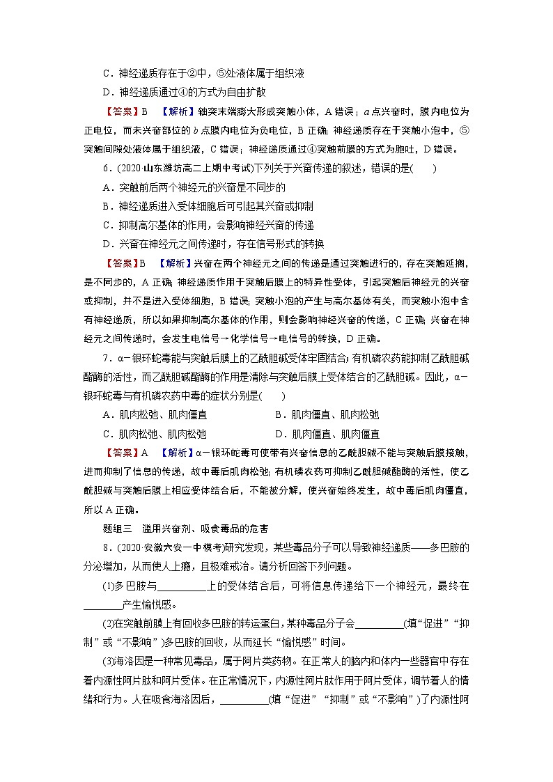 第2章 第3节神经冲动的产生和传导第3页