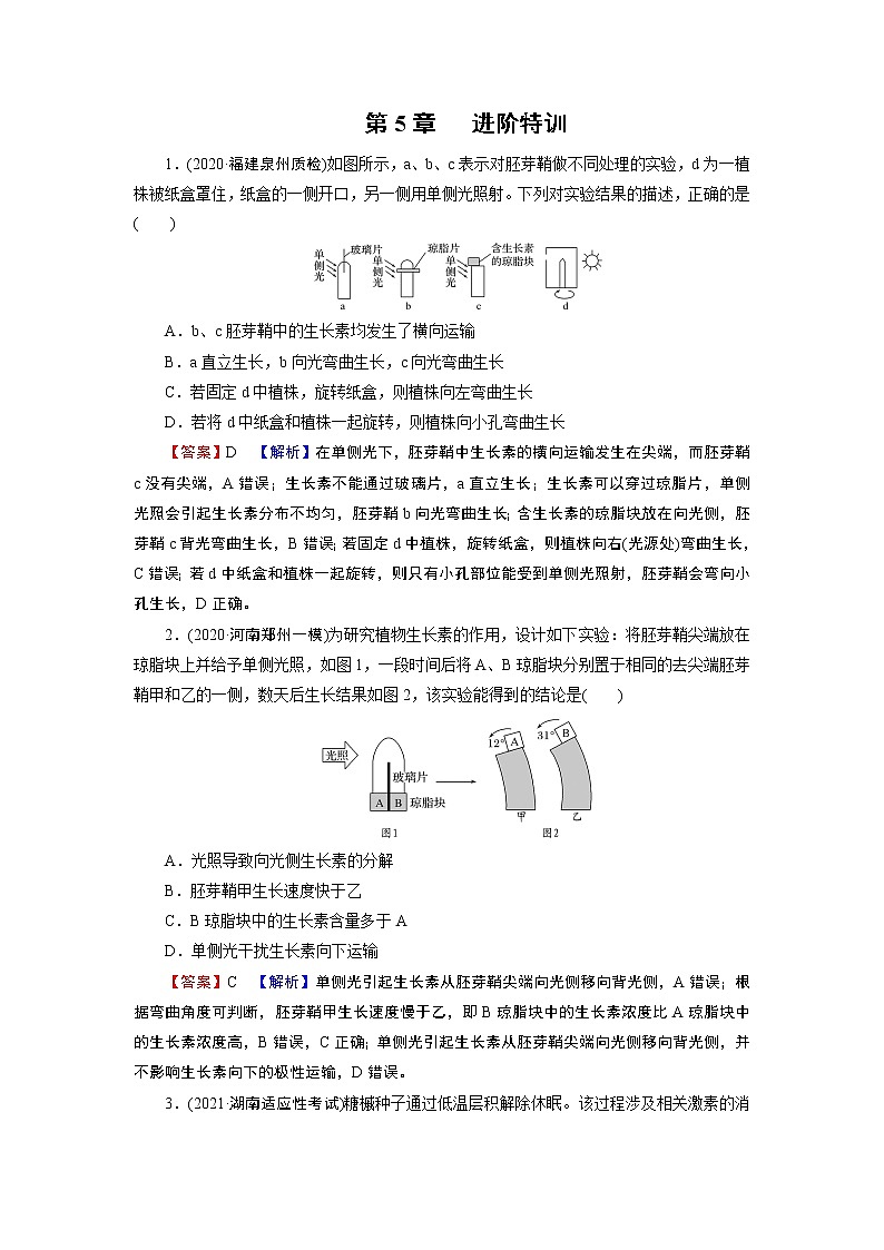 第5章 进阶特训第1页