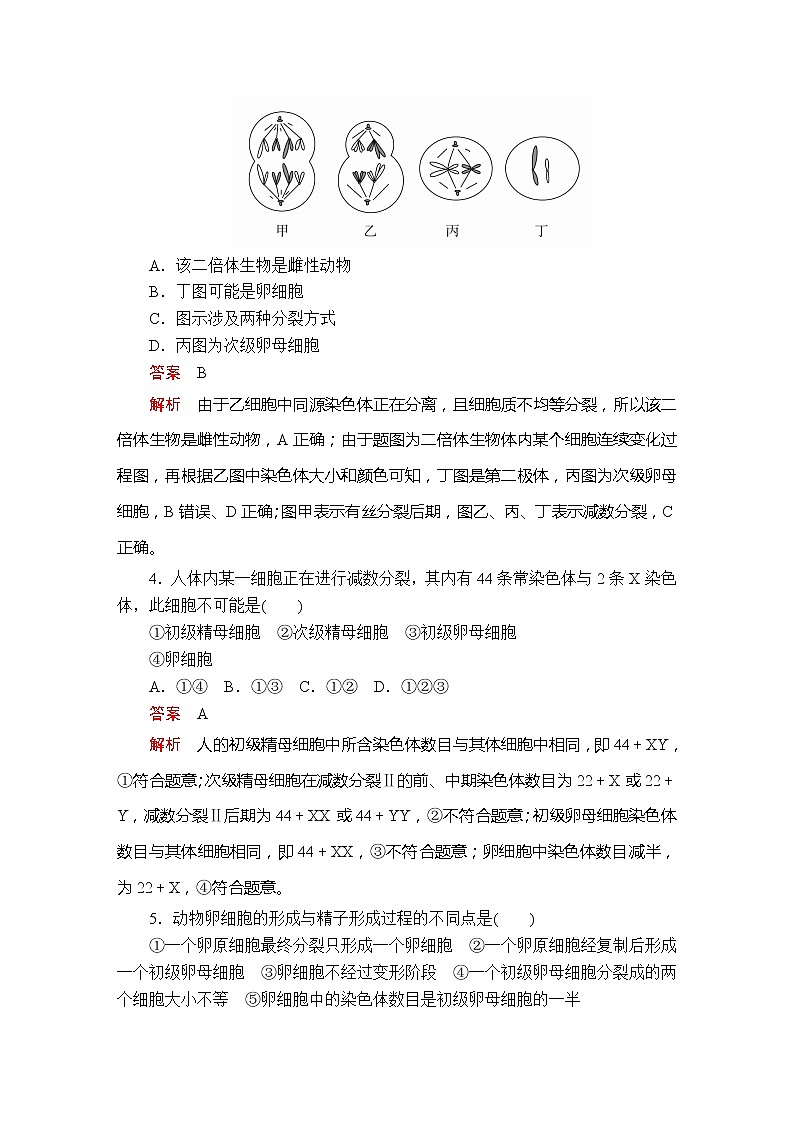 高中生物第二册 第2章 第1节 减数分裂和受精作用 第2课时  课时精练02