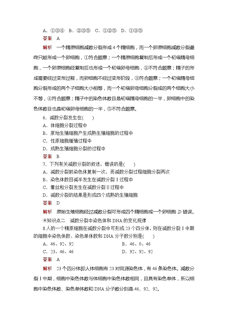 高中生物第二册 第2章 第1节 减数分裂和受精作用 第2课时  课时精练03