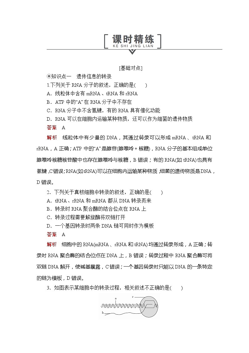 高中生物第二册 第4章  第1节基因指导蛋白质的合成课时精练第1页