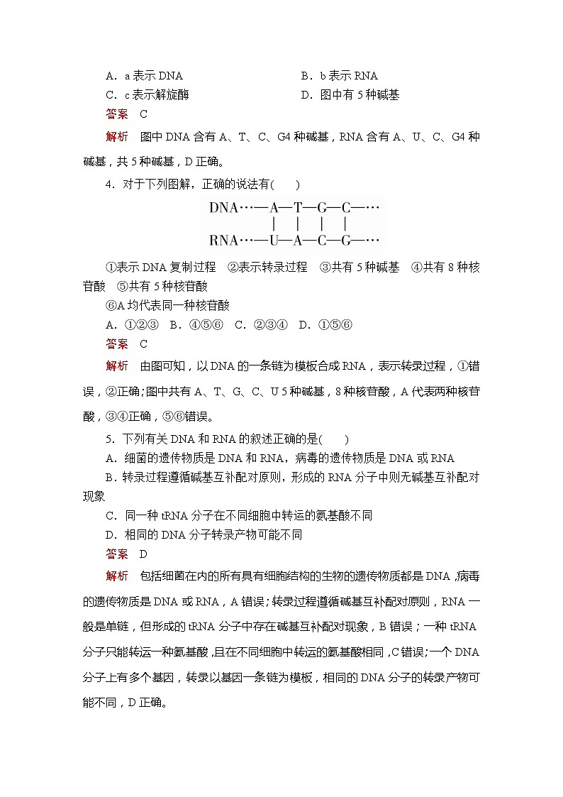 高中生物第二册 第4章  第1节基因指导蛋白质的合成课时精练第2页