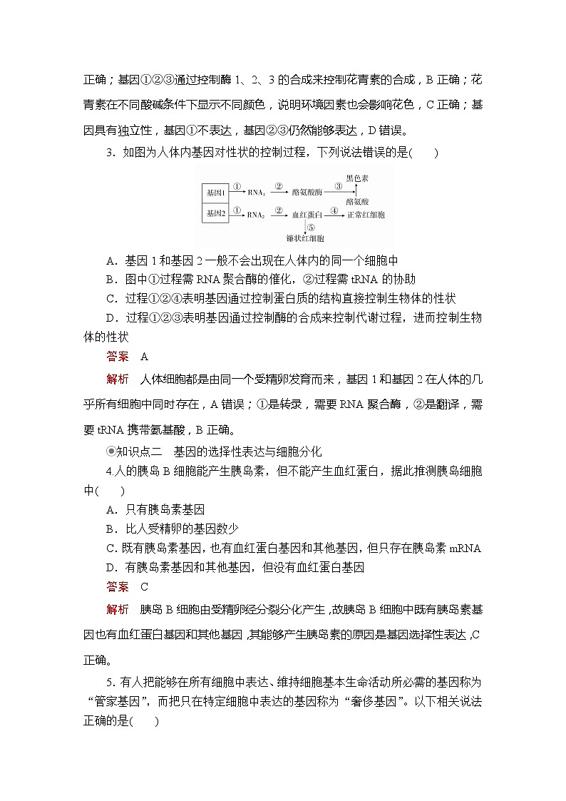 高中生物第二册 第4章  第2节基因表达与性状的关系课时精练第2页