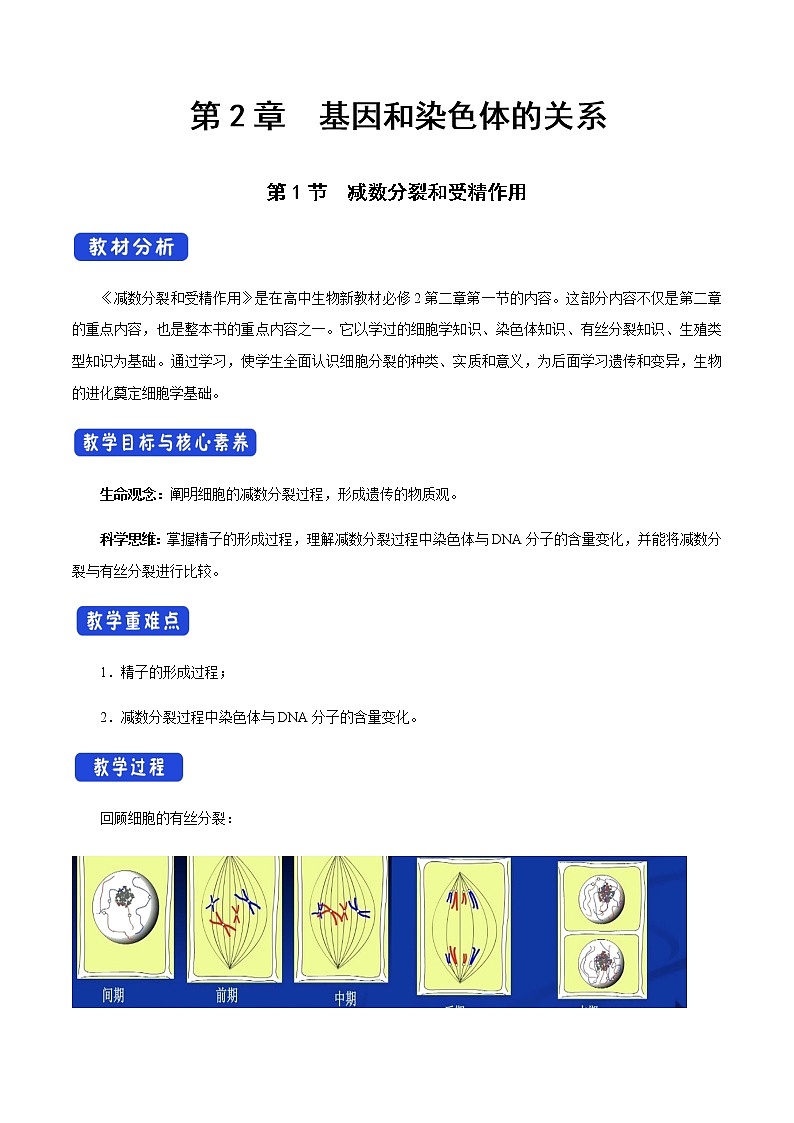 高中生物第二册 2 1 1 减数分裂和受精作用 教学设计-遗传与进化01