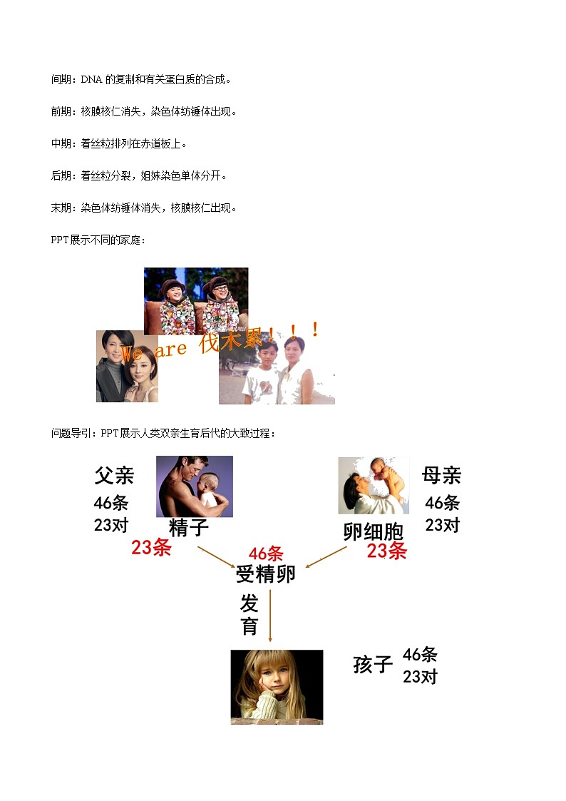 高中生物第二册 2 1 1 减数分裂和受精作用 教学设计-遗传与进化02