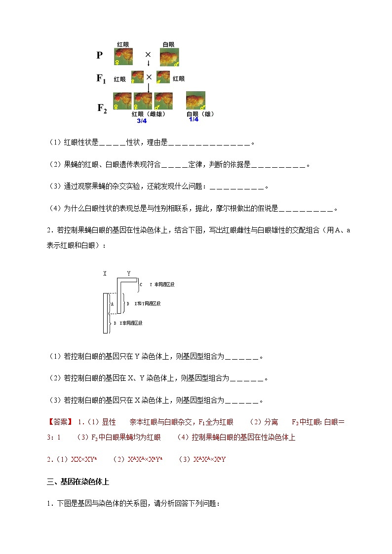 高中生物第二册 2 2 基因在染色体上 导学案遗传与进化第3页