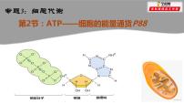 高中生物高考专题13 ATP-2021年高考生物一轮复习知识精讲课件