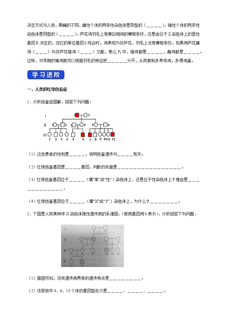 高中生物第二册 2 3 伴性遗传 导学案遗传与进化第2页