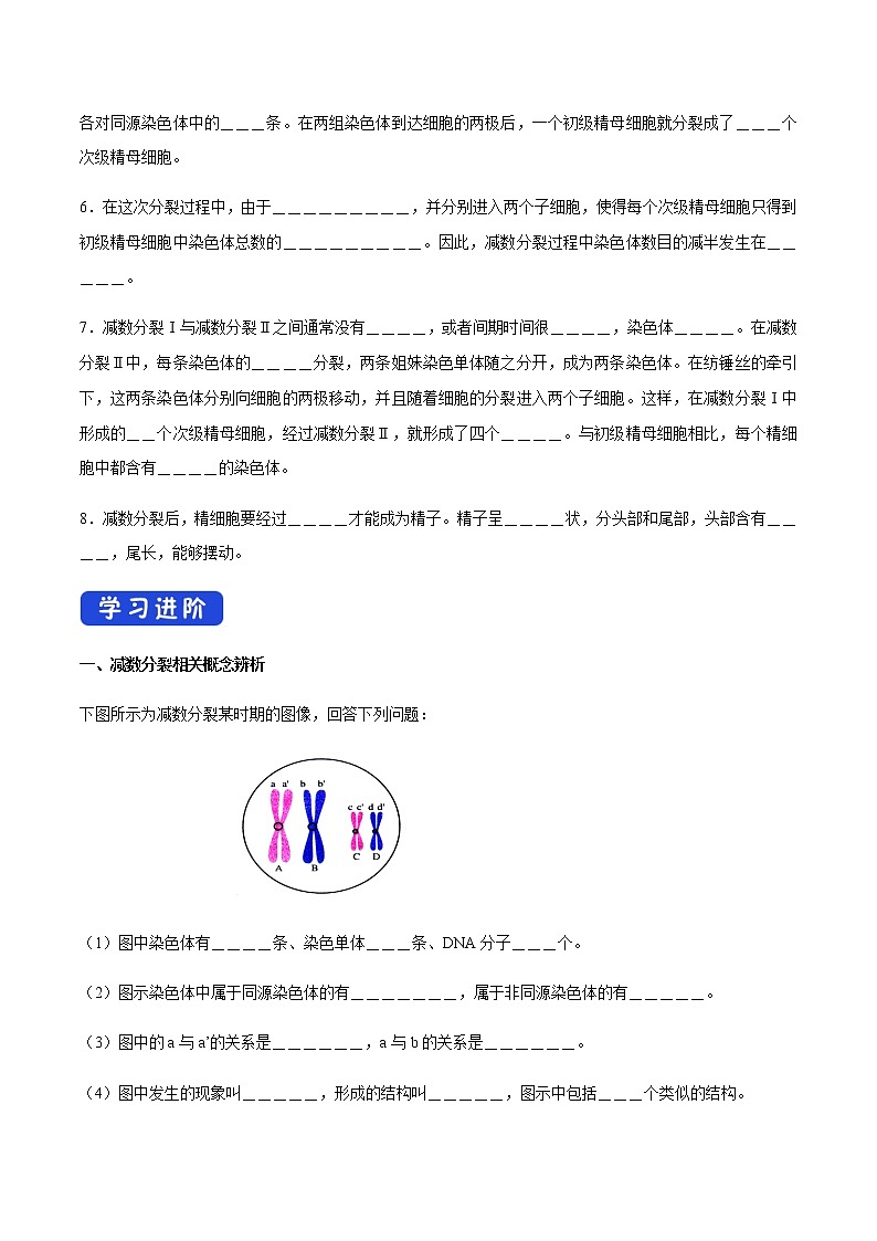 高中生物第二册 2 1 1 减数分裂和受精作用 导学案-遗传与进化02