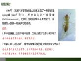 4.2 生物多样性及其保护 高二生物 （人教版2019选择性必修2）课件PPT