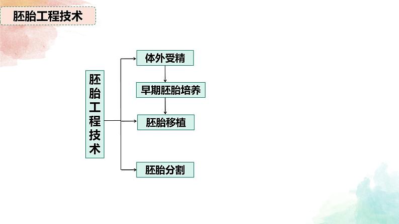 2.3.2 胚胎工程技术及其应用 课件 高中生物人教版选择性必修3第3页