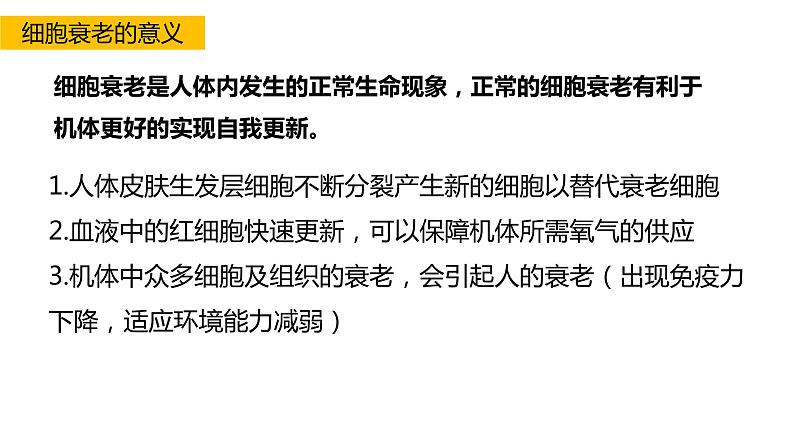 高中生物第一册 6 3细胞衰老和凋亡 课件教案第7页