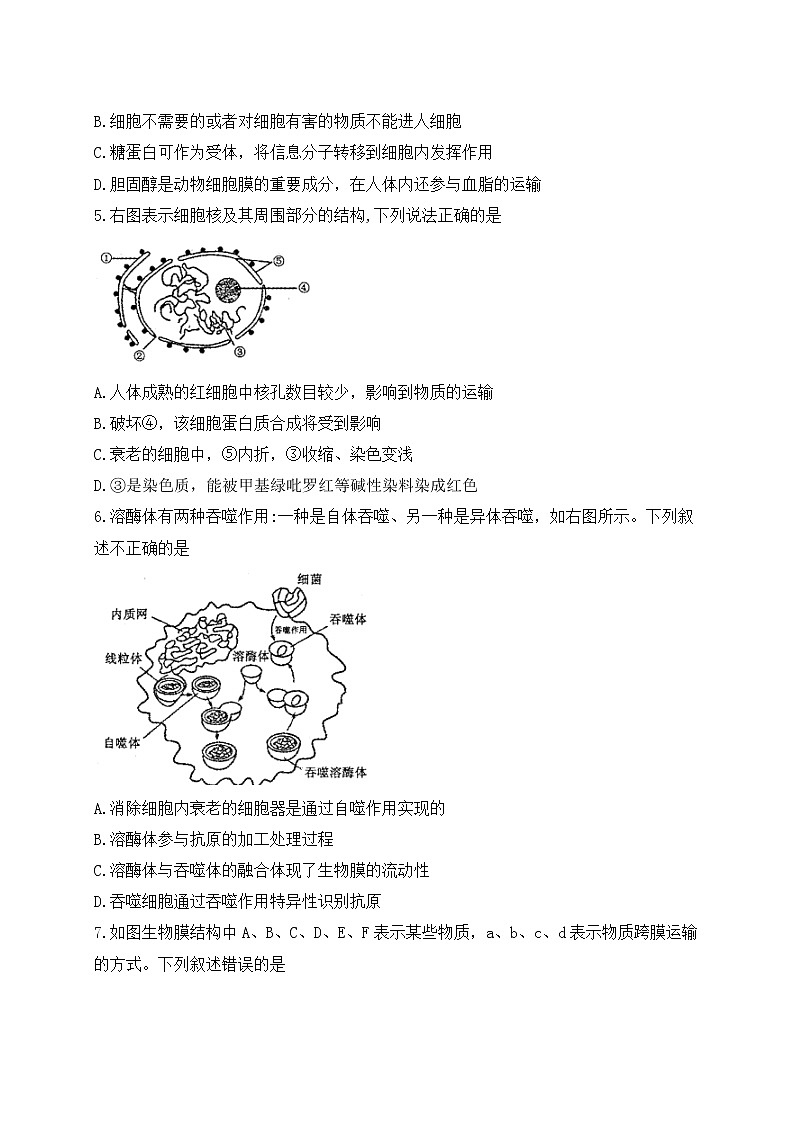 河南省洛阳市XX中学202X年高三上学期期中考试《生物》试卷第2页