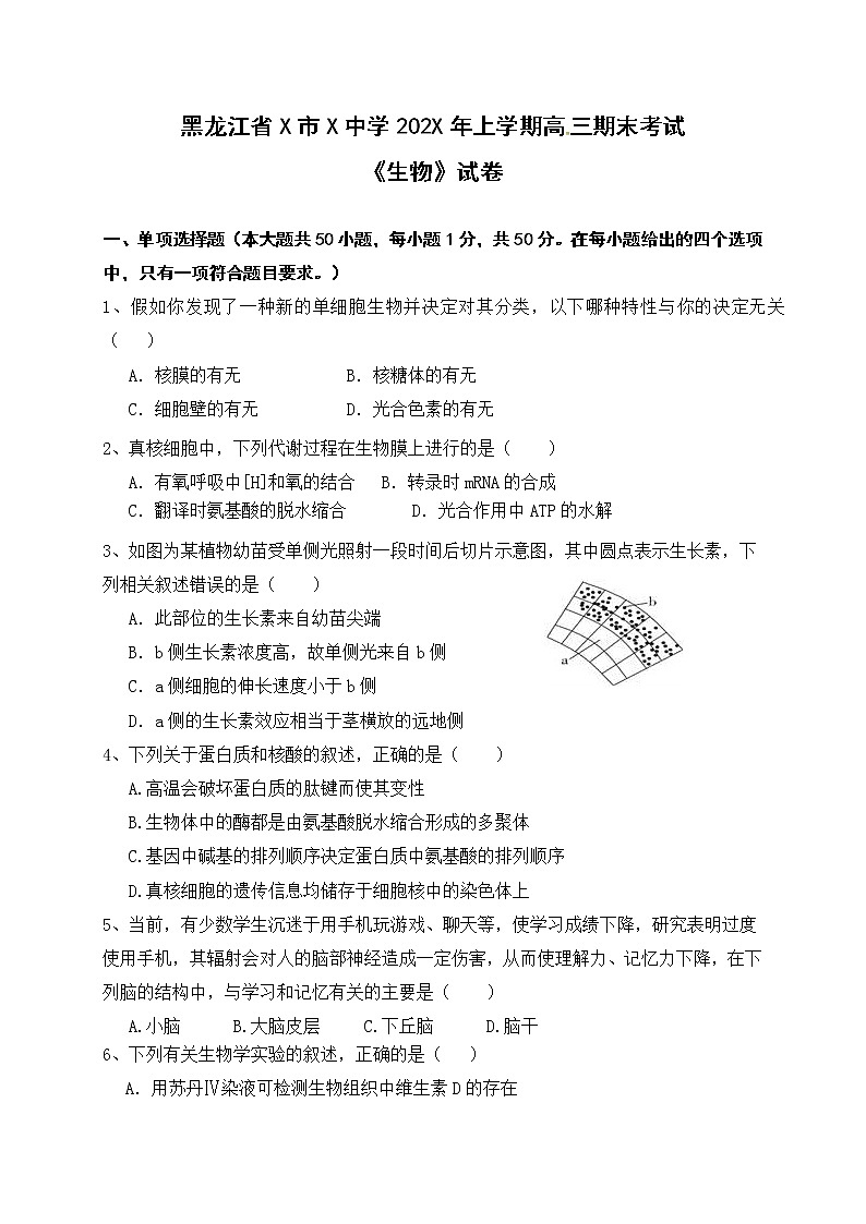 黑龙江省X市X中学202X年上学期高三期末考试《生物》试卷01