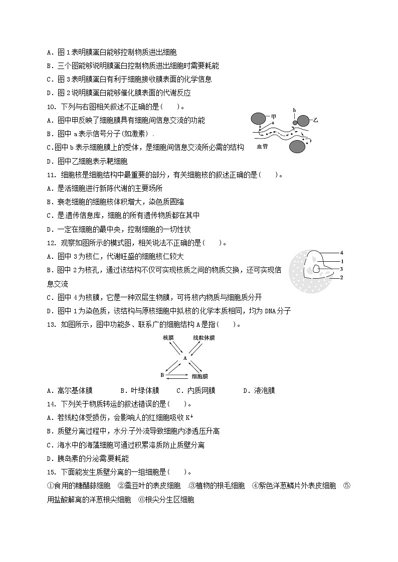 黑龙江省哈尔滨市XX中学2018-2019学年度下学期高一期中考试《生物》试卷03