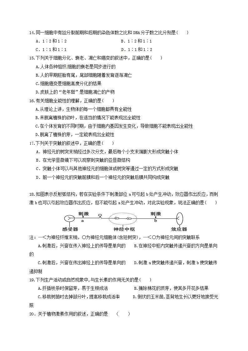 湖北省X市XX示范高中2018-2019学年度下学期高一期末考试《生物》试卷第3页