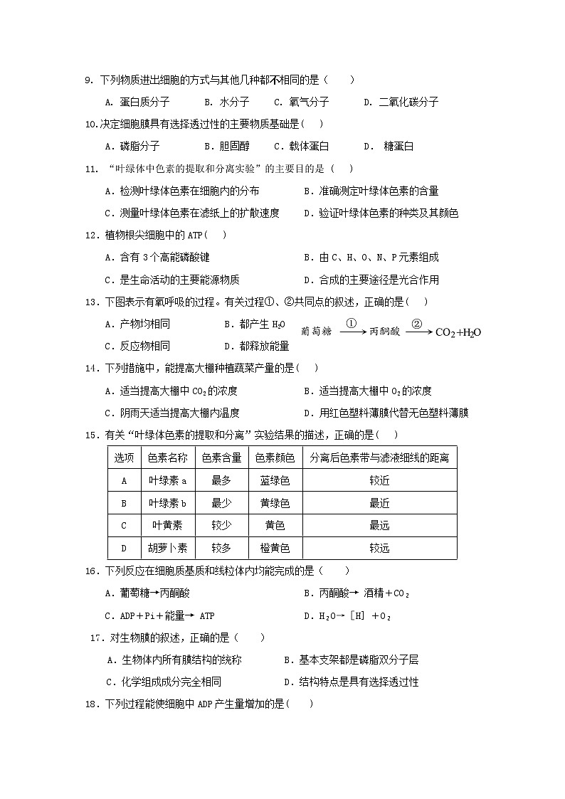 江苏省X市XX中学2018-2019学年度上学期高一期末考试《生物》试卷03