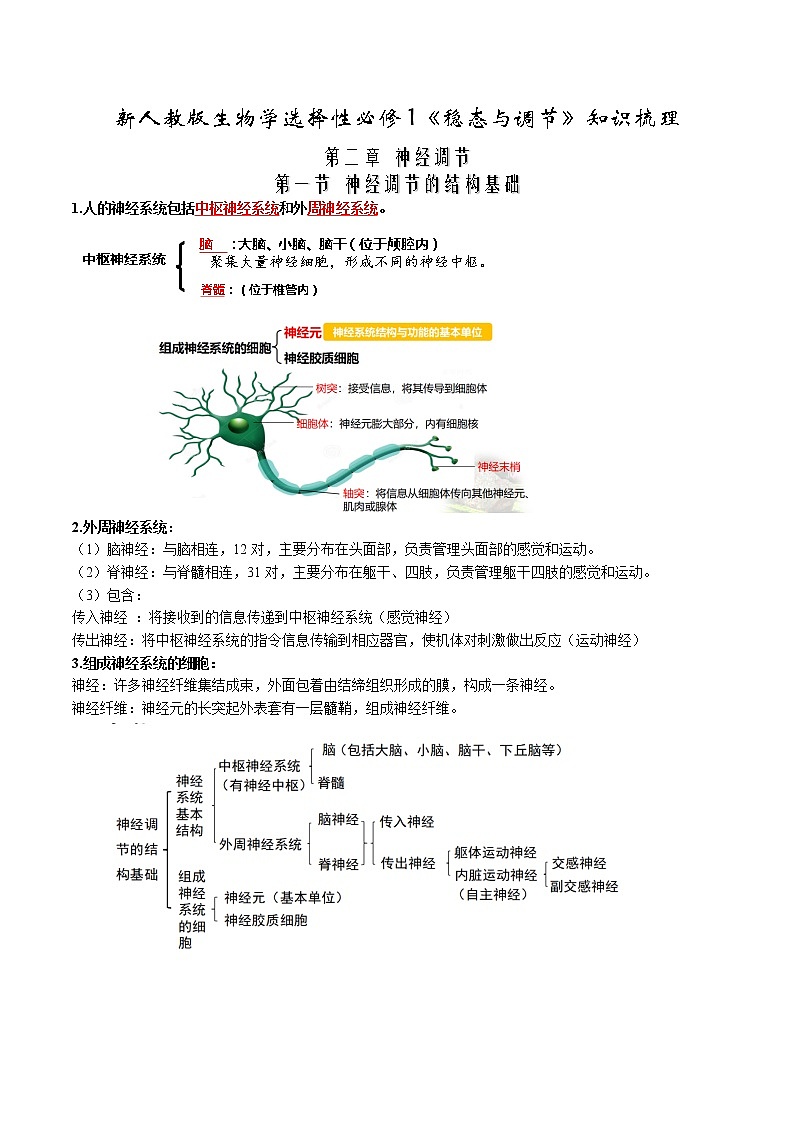 第2章 神经调节-【必背知识】2021-2022学年高二生物章节知识清单（背诵版）01